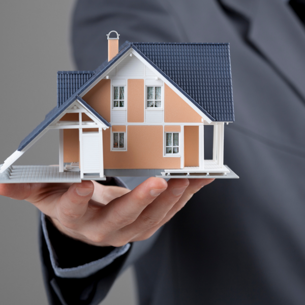 Real Estate Mentorship