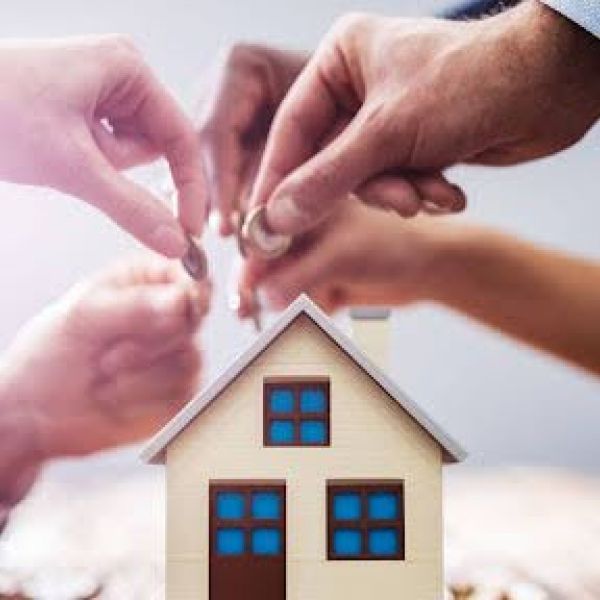 Real Estate Mentorship Programs